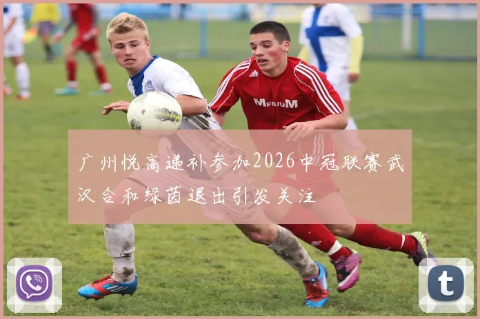 广州悦高递补参加2026中冠联赛武汉合和绿茵退出引发关注